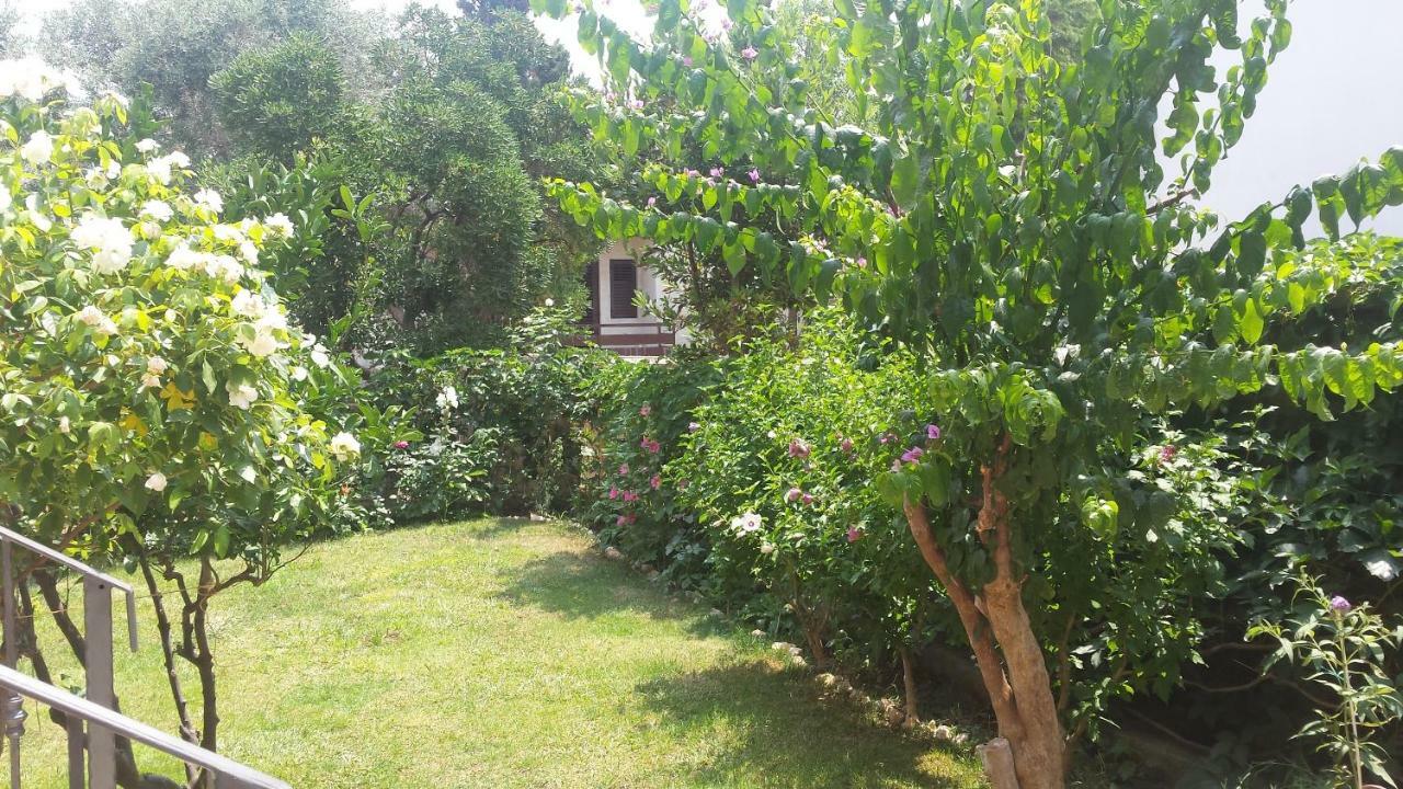 Apartman Pijer *